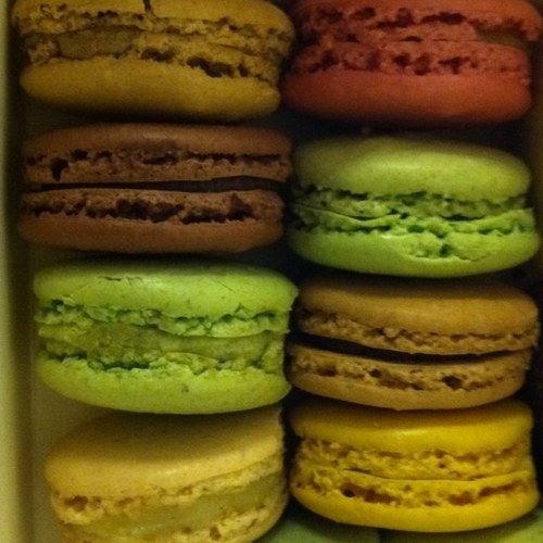 ShopChiGirl's profile picture. Born to shop!