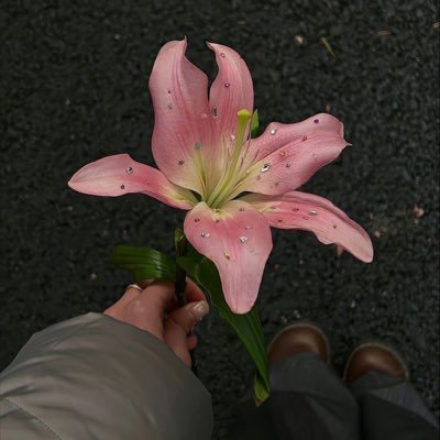 itfx_3's profile picture. Computer Engineer