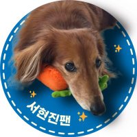 서현진팬 (@shj_fan) 's Twitter Profile Photo 서현진팬 (@shj_fan) 's Twitter Profile Photo
