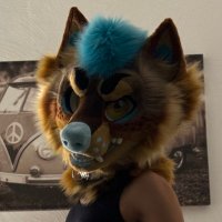Sonora’s mirror (@sonoramirror) 's Twitter Profile
