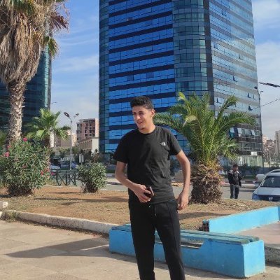 Yassine_m1__'s profile picture. radiant yoru main 🇩🇿 
https://t.co/gliDjfWezb