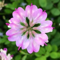 みやん (@mi_yan716) 's Twitter Profile Photo