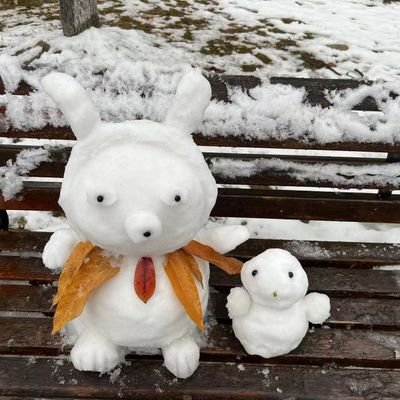 t2540787909's profile picture. 感谢曾经来过