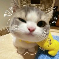 𝜗𝜚 ࣪˖ ִ𐙚 (@praisedwh0re) 's Twitter Profile Photo 𝜗𝜚 ࣪˖ ִ𐙚 (@praisedwh0re) 's Twitter Profile Photo