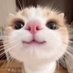 Sa (@sa7583646211493) Twitter profile photo Sa (@sa7583646211493) Twitter profile photo