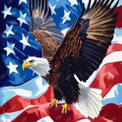 🇺🇸 Faith and freedom. The true American spirit will never waver.