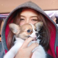 Mouseʕ·ᴥ·ʔ (@weena_ka) 's Twitter Profile