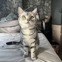 sugus (@xiguaguagua__) 's Twitter Profile Photo