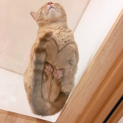 porumaru_'s profile picture. 