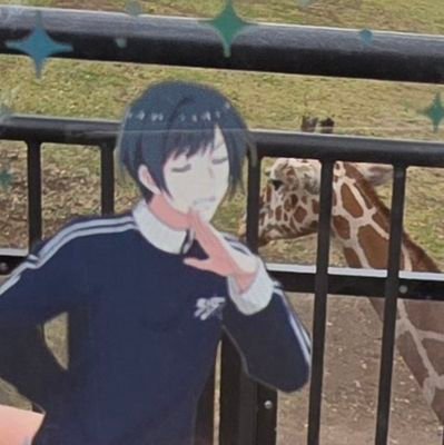 うずらさんのプロフィール画像