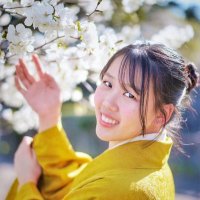 ゆか👘🌸 (@kimono_yuka) Twitter profile photo