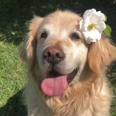 Anonymous_9087's profile picture. 