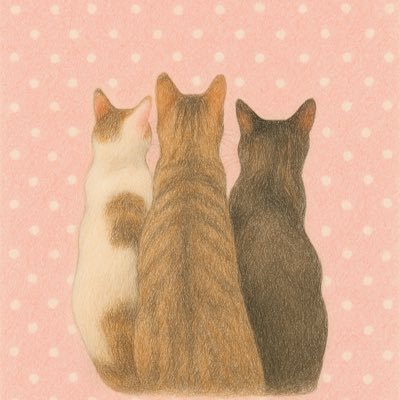 to_ra_n_maru's profile picture. 仲良しキジトラ兄弟です🐾 よろしくお願いします♡꙼̈キジトラ⇨らん丸🐱キジシロ⇨とら丸🐱シロキジ⇨ゆき丸🐱