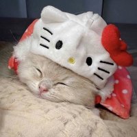뽀 (@luvuufrv) 's Twitter Profile Photo