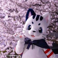 猫月✮ニャンルー✮🐱🌙 (@nyanrou_neko) Twitter profile photo