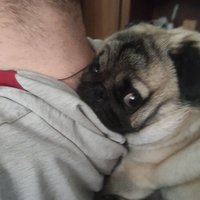 Marko Ignjatovic (@markoignjatov17) 's Twitter Profile