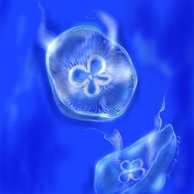 うぃらーどさんのプロフィール画像