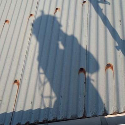 PvhP7cQci943369's profile picture. 今のアカウント〜😊コスプレイヤーです！