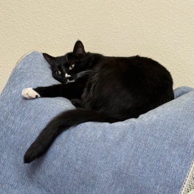 Planettt404's profile picture. 蜜瓜激推🥰在学习日语和粤语ing！坑很杂很多！期待交友呀🥹