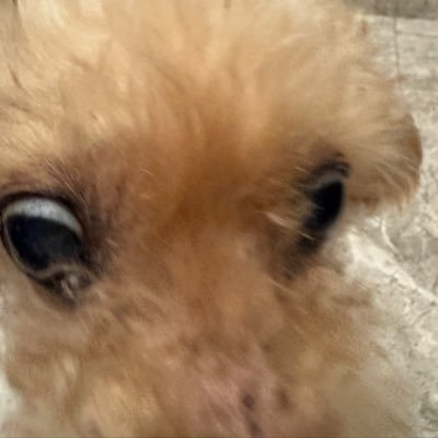 snailsonfilm's profile picture. she / her, Freckled Foe, Titless Goblin.