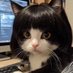 Chilamyuan (@yunzln178268) Twitter profile photo Chilamyuan (@yunzln178268) Twitter profile photo