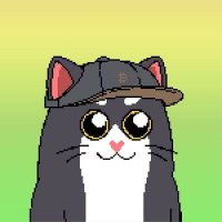 0xMakowsky (@0xmakowsky) 's Twitter Profile