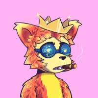 Hoohaa ๐ต (@hoohaadada) 's Twitter Profile Photo Hoohaa ๐ต (@hoohaadada) 's Twitter Profile Photo