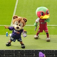 超JINGO🐻Ambitious Football (@jingodjango920) 's Twitter Profile