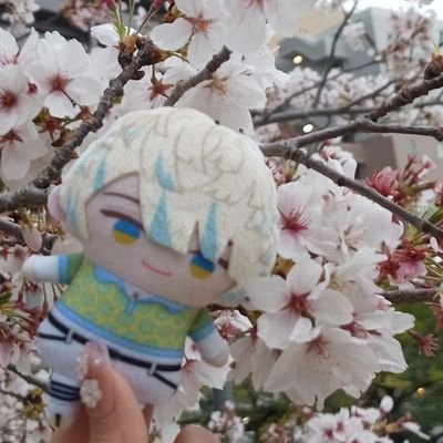 朔藍さんのプロフィール画像