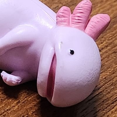 yeahhhhhh050's profile picture. 趣味を投稿