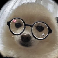 ぽんすけ大先生 (@yuyuyuyumee) 's Twitter Profile Photo ぽんすけ大先生 (@yuyuyuyumee) 's Twitter Profile Photo