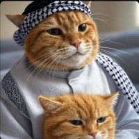 Abdul / HUDL (@abduljcg) 's Twitter Profile Photo Abdul / HUDL (@abduljcg) 's Twitter Profile Photo