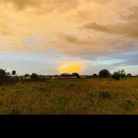 Babucarr (@babucar48953236) 's Twitter Profile