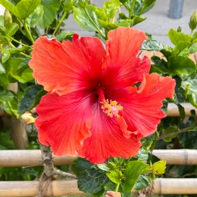 ponpokopon2356's profile picture. いろいろ呟く