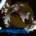 lluis7w7 (@7w7lluis) Twitter profile photo lluis7w7 (@7w7lluis) Twitter profile photo