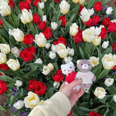 sayu__oyu2's profile picture. 自我あり！！！！！腐要素あり！！！！なんでも美味しい〜って方向け！！！！！見る方の地雷を踏み抜くかもしれないし、いちファンの戯言です🙏🏻うるさくない方→@sayu__oyu