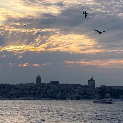 osumeyye139's profile picture. Ya siyahız,ya beyaz…