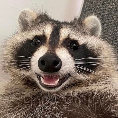 tomatomie0's profile picture. 4B