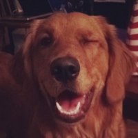 Jeff (@thefantasyeng) 's Twitter Profile Photo Jeff (@thefantasyeng) 's Twitter Profile Photo