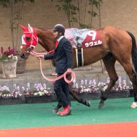 まさ⭐️きゃろ (@mmasacaro) Twitter profile photo