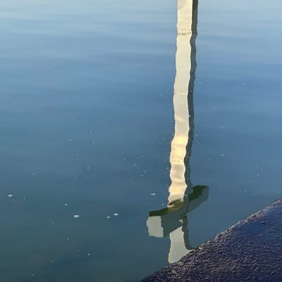 qq5083928079935's profile picture. 