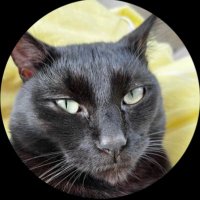 Šupíto (@ministr_chillu) 's Twitter Profile