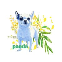 パンダママ　セット　❤️ それいけ！アンパンマン【公式】 on X: 