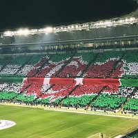 Sedat AKIN (@sedatakin1606) 's Twitter Profile