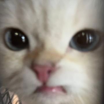 2xllo_e's profile picture. 