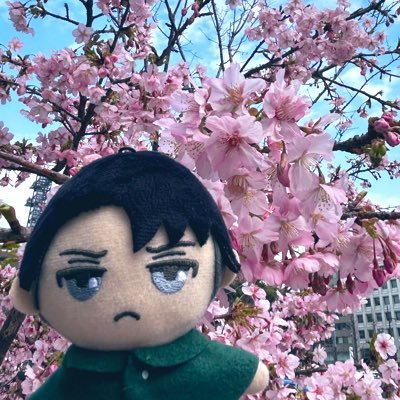 omochi_sngk's profile picture. 今更ながら進撃の巨人の沼に。原作をじっくり読み返し中。特に兵長&団長◎チ・呪術・鬼滅等も！ 無言フォローやいいね、失礼します。とっくの昔に20↑
