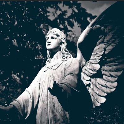 Kalson2tu's profile picture. Business Administrator//Fx Trader📉📈//Crypto Enthusiast📚// Realtime hustler 👨‍💻

I won't stop working until i make wealth!!💰💰