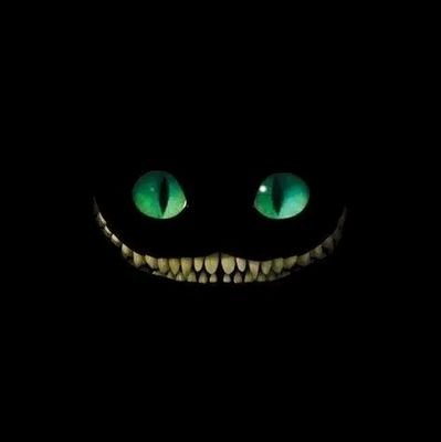 KaviSaleh60's profile picture. “@ANGELAWHITE’s & @grok’s shared bitch. DMs open for humiliation tasks. Holes stay ready.”🫀🫶🤍