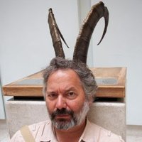 Robert Barry 📖🖊️ (@robertthebarry) 's Twitter Profile