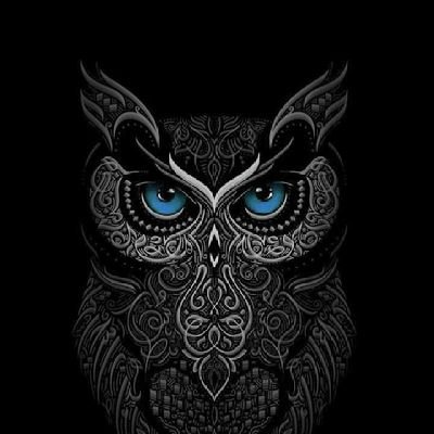 thornestrix's profile picture. From Breakouts to Retracements – Trade with Insight